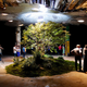 Image for article titled Kickstarter Urbanism: Why Building a Park Takes More Than Crowdfunding
